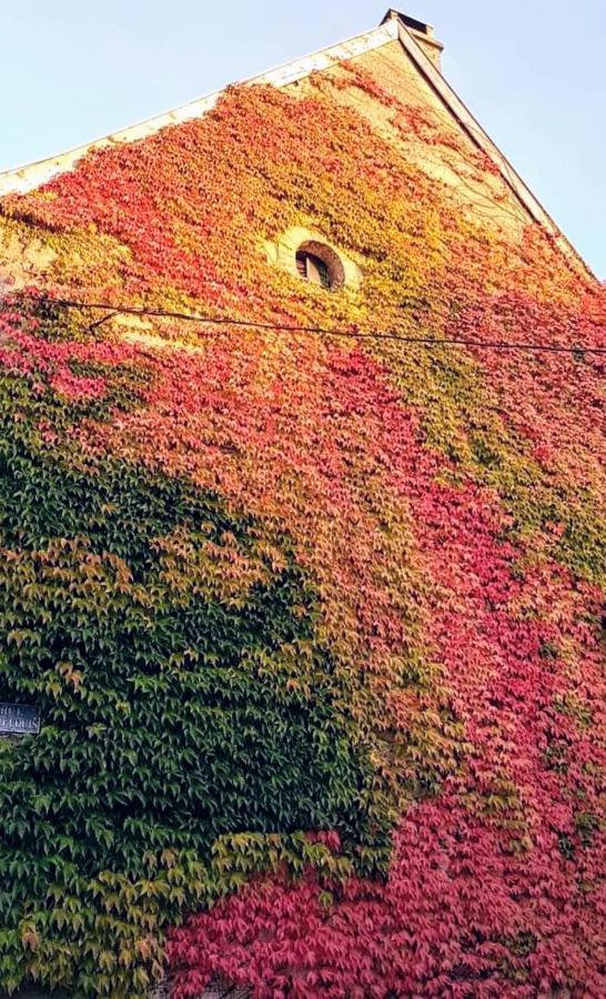 Au Chambellan Bed & Breakfast Ay-Champagne Bagian luar foto